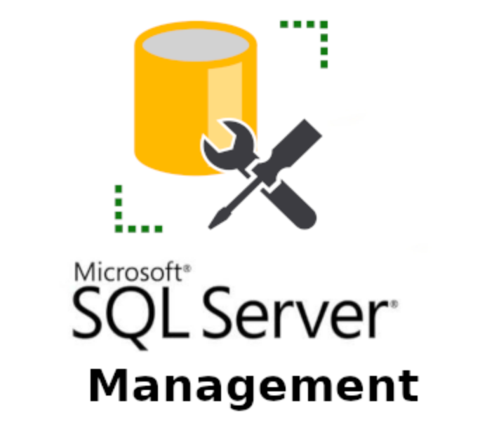 MS SQL Server Icon